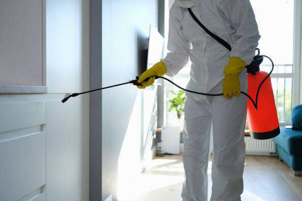 Best Mold Remediation Experts  in Dundee, FL